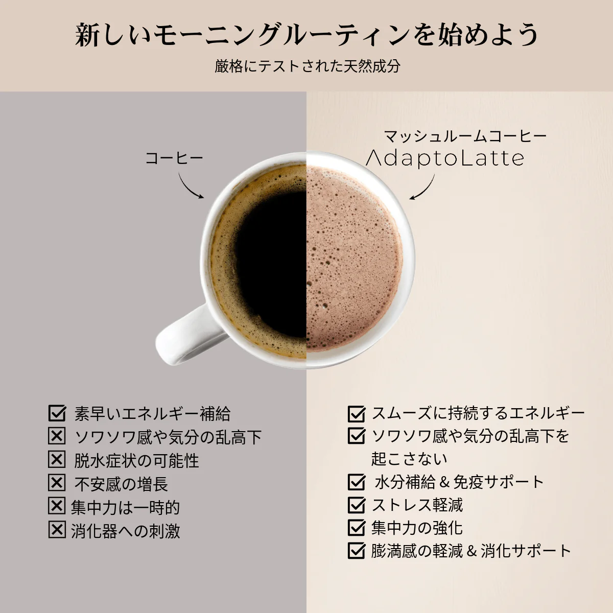 【目覚めのリチュアルセット】アダプトラテ - Image 3
